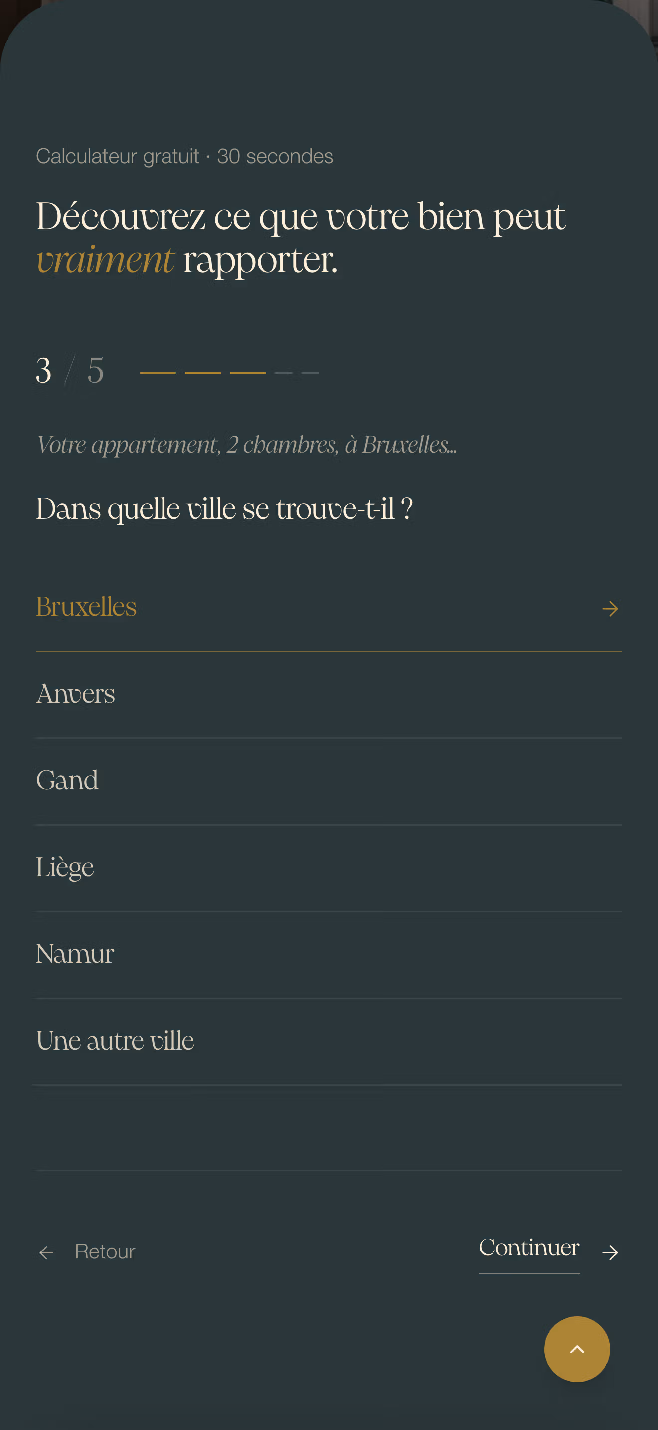 Apercu du calculateur de revenu page 3