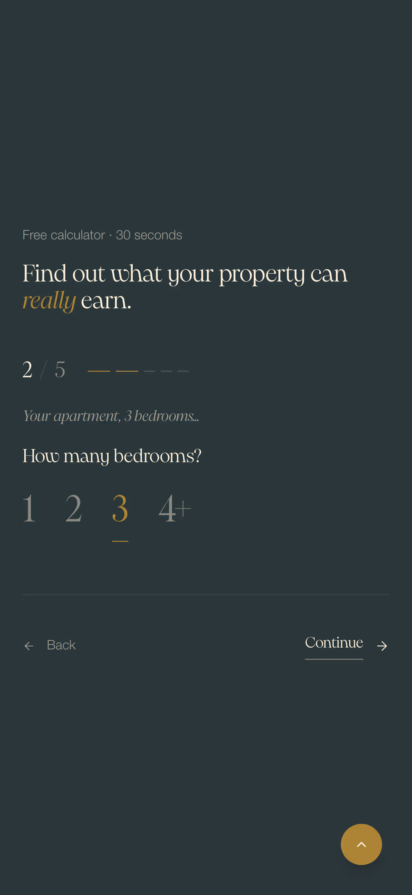 Preview of the 2nd page of the revenue calculator made by numeon