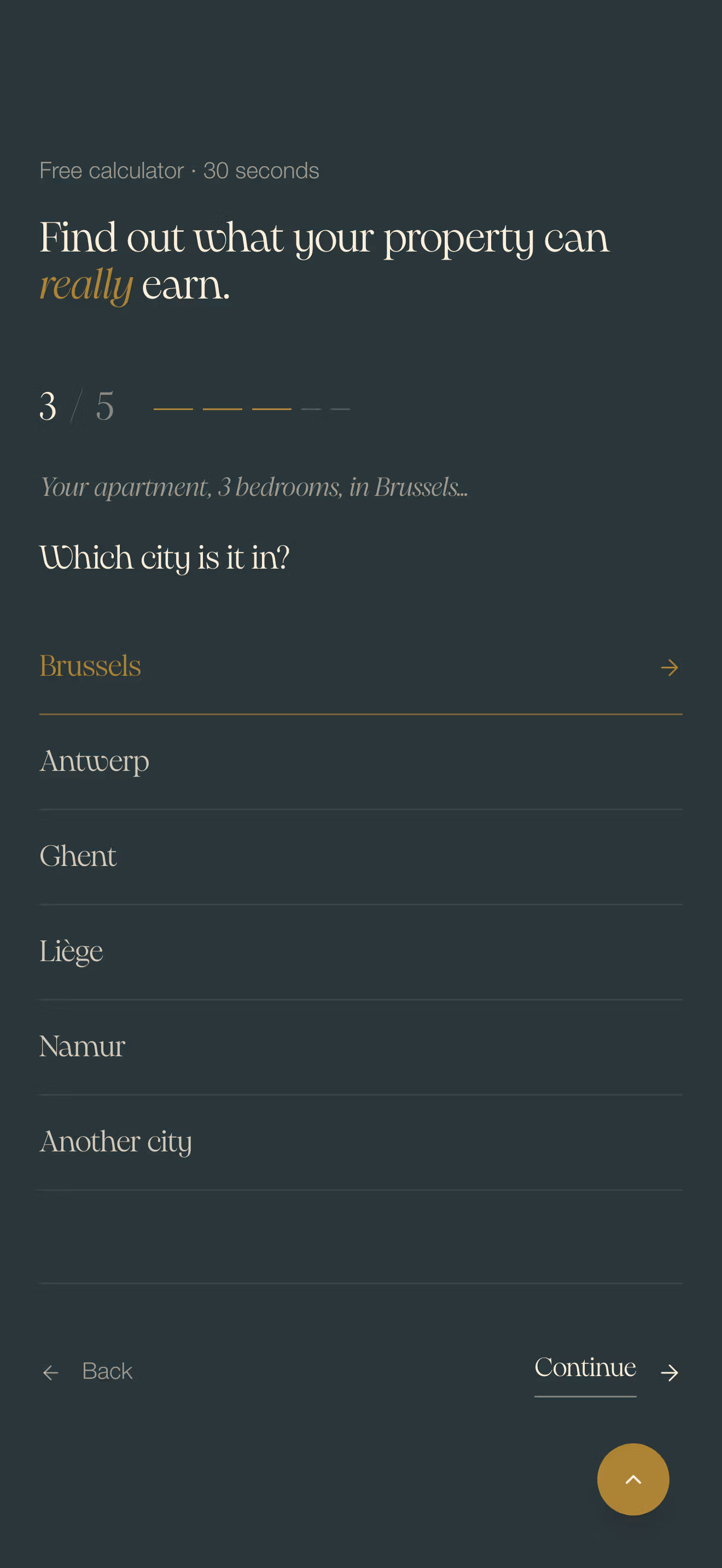 Preview of the 3rd page of the revenue calculator made by numeon